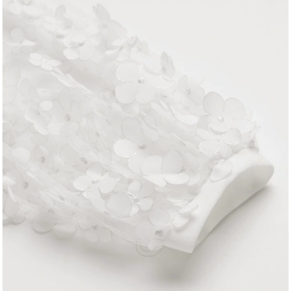 Floral Applique Sheer Bishop Sleeve Belted Dress - Picture 4 of 7